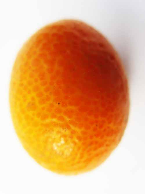 09133879-4.jpg